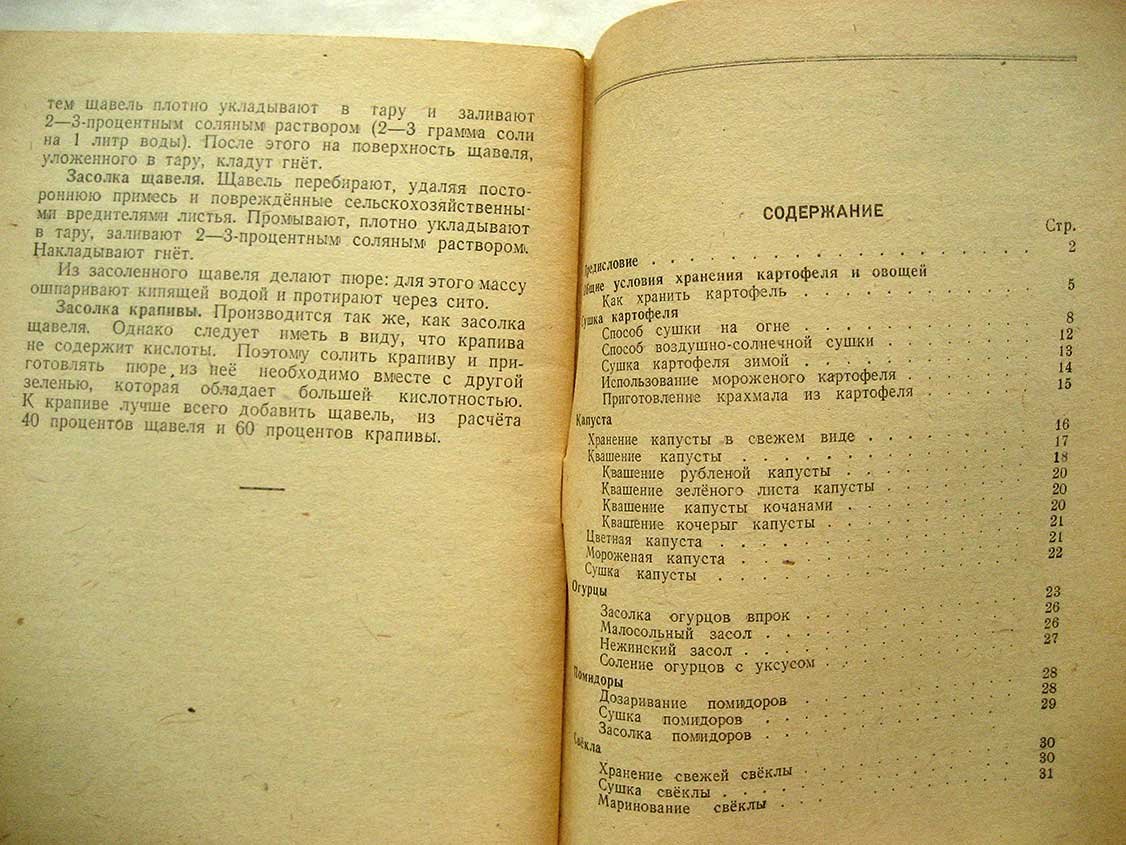 Шиляков М. Простейшая переработка и хранение овощей и картофеля в домашних условиях.