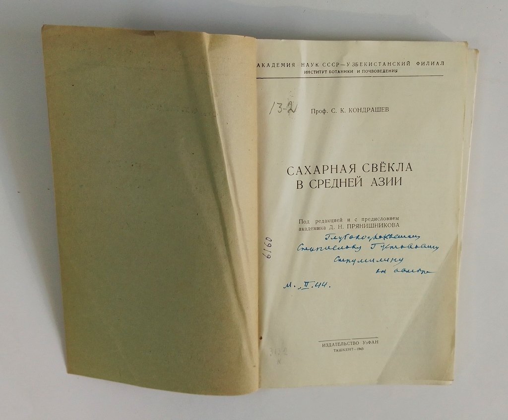 Кондрашев, С.К. Сахарная свекла в Средней Азии.