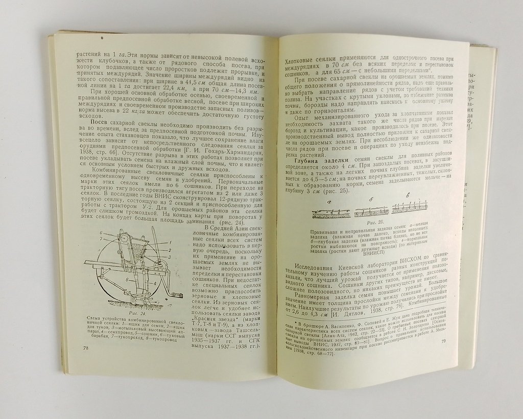 Кондрашев, С.К. Сахарная свекла в Средней Азии.