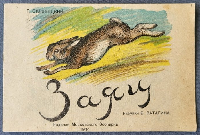 Скребицкий Г. Заяц.