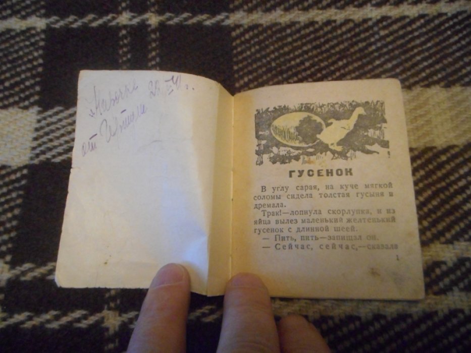 Белышев И. Гусенок.