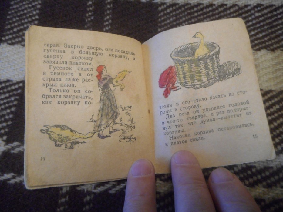 Белышев И. Гусенок.