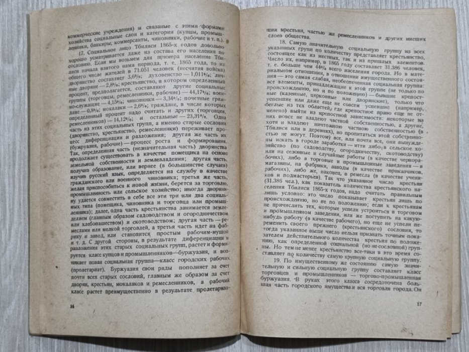 Чхетия Ш. Тбилиси в XIX столетии.