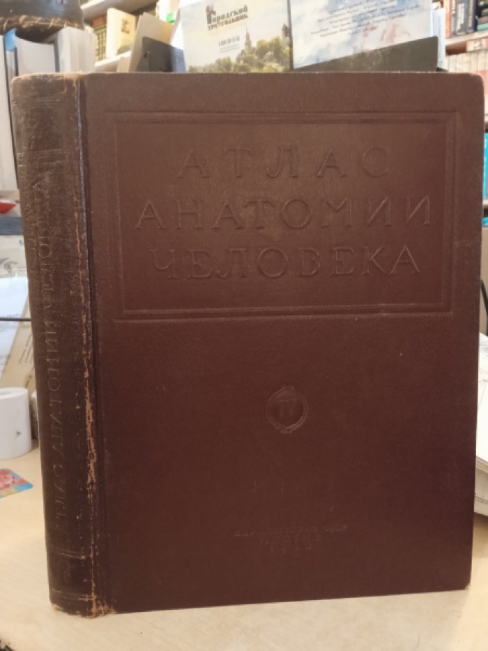 Воробьев В. - акад Атлас анатомии человека Том 4.
