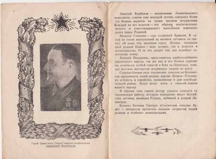 Сцепуро Е. Сталинские соколы.