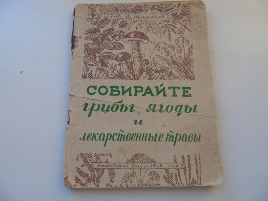 Шиляков М. Собирайте грибы, ягоды и лекарственные травы