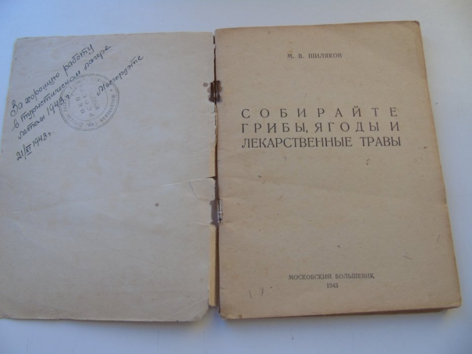 Шиляков М. Собирайте грибы, ягоды и лекарственные травы