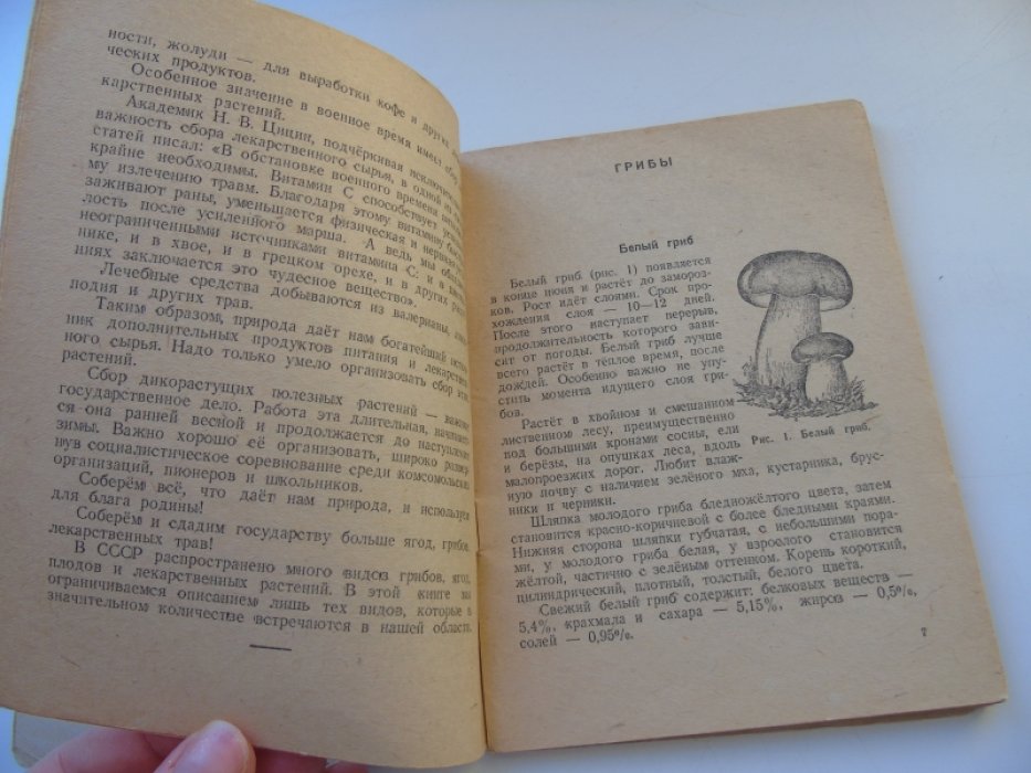 Шиляков М. Собирайте грибы, ягоды и лекарственные травы