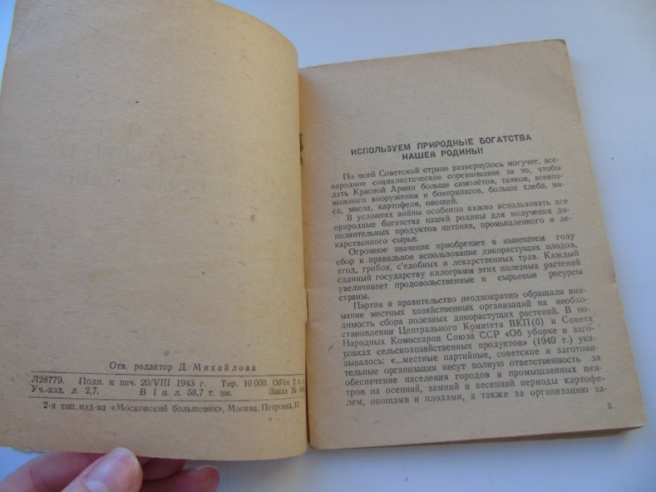 Шиляков М. Собирайте грибы, ягоды и лекарственные травы