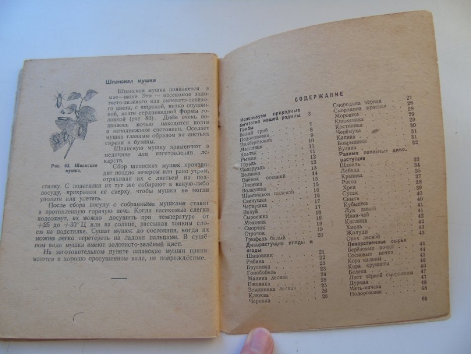 Шиляков М. Собирайте грибы, ягоды и лекарственные травы
