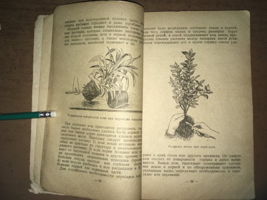 Киппер В.И. Комнатное Цветоводство.