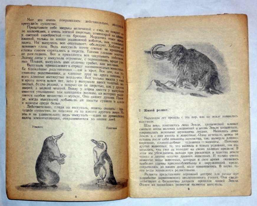 Скребицкий Г. Выхухоль. / Рисунки И. Райской.