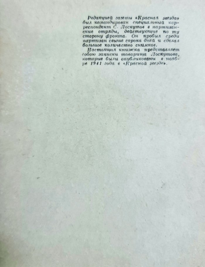 Лоскутов С. У партизан.