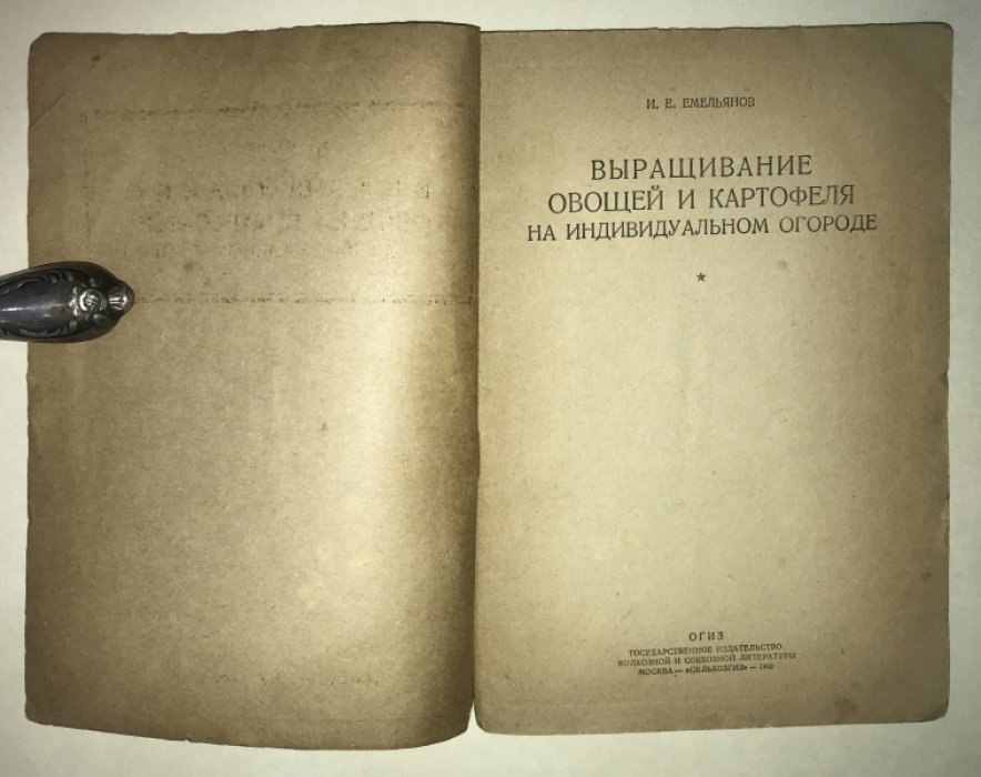 Емельянов И. Е. Выращивание овощей и картофеля на индивидуальном огороде.