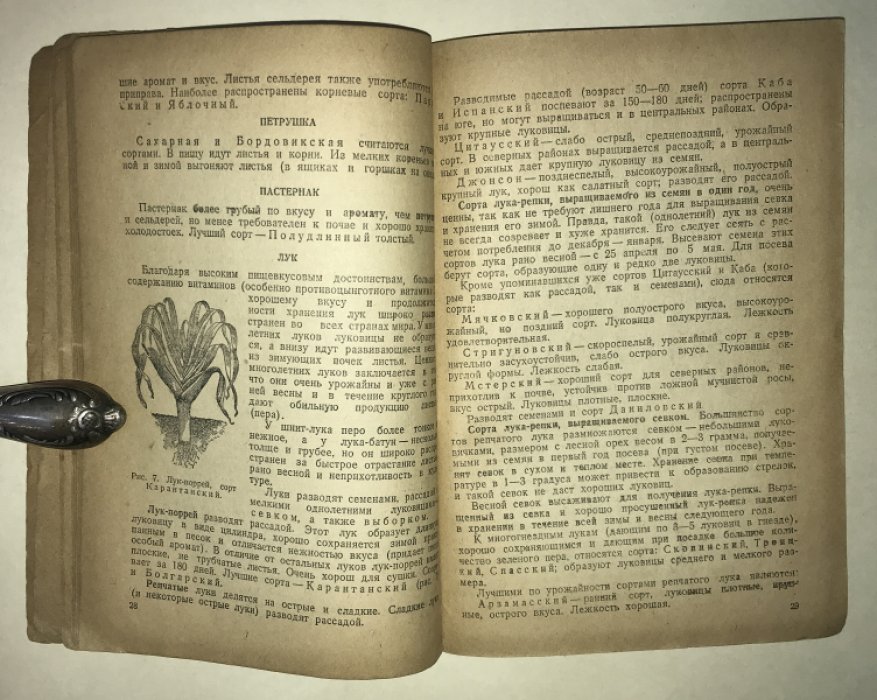 Емельянов И. Е. Выращивание овощей и картофеля на индивидуальном огороде.