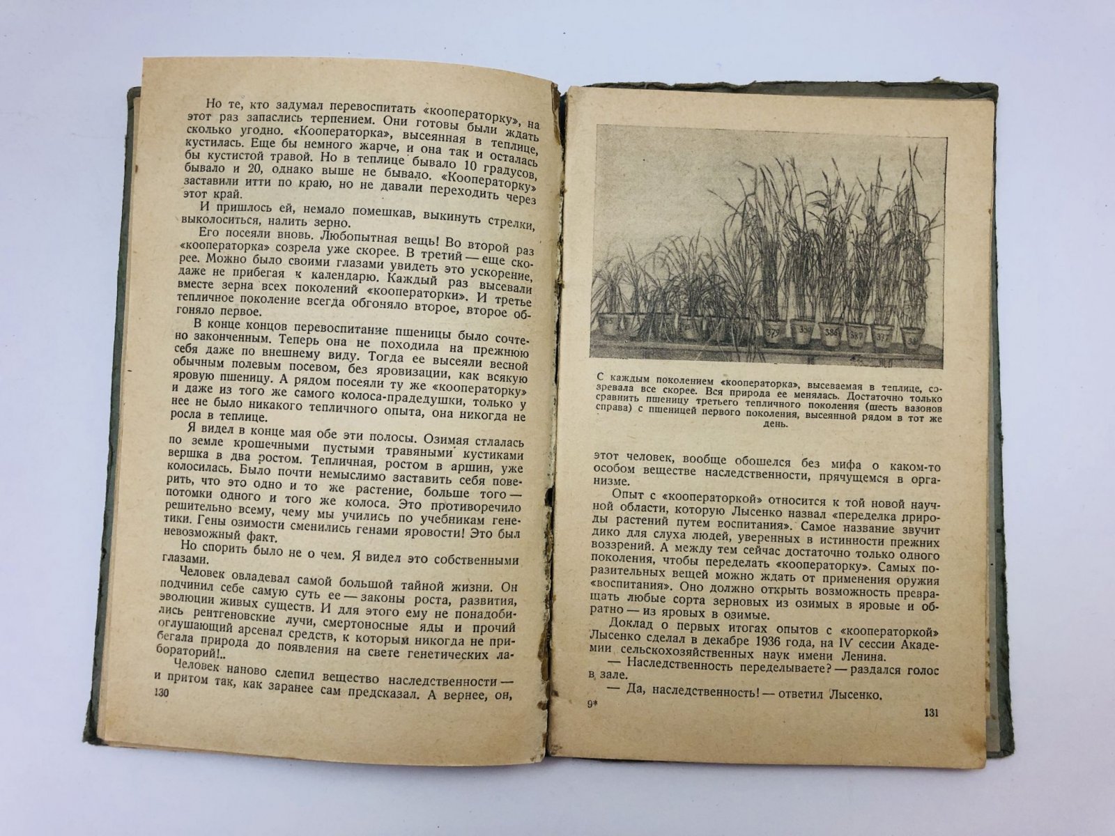 Сафонов В. Власть над землей.