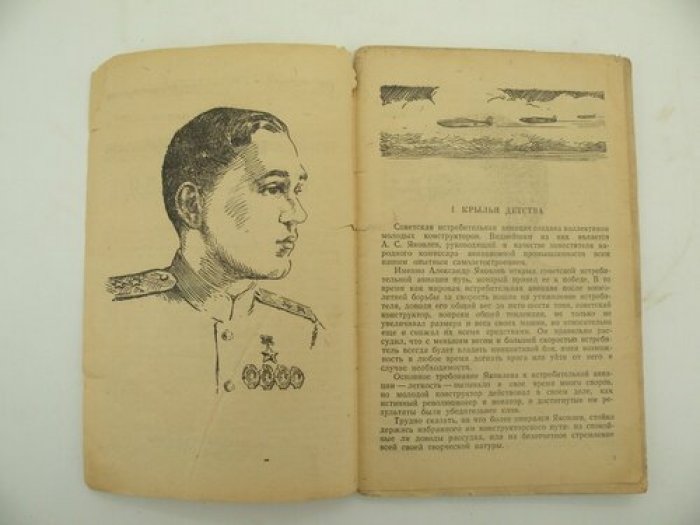 Гумилевский Л. Крылья истребителя.