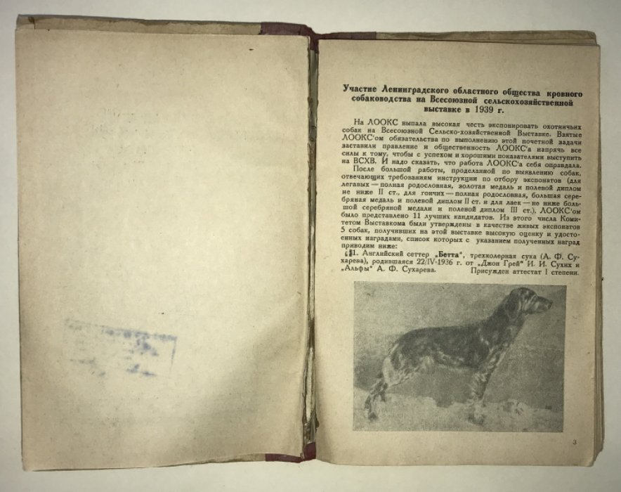 Ленинградские охотничьи собаки на выставке и их работа на испытательных станциях в 1939 году.