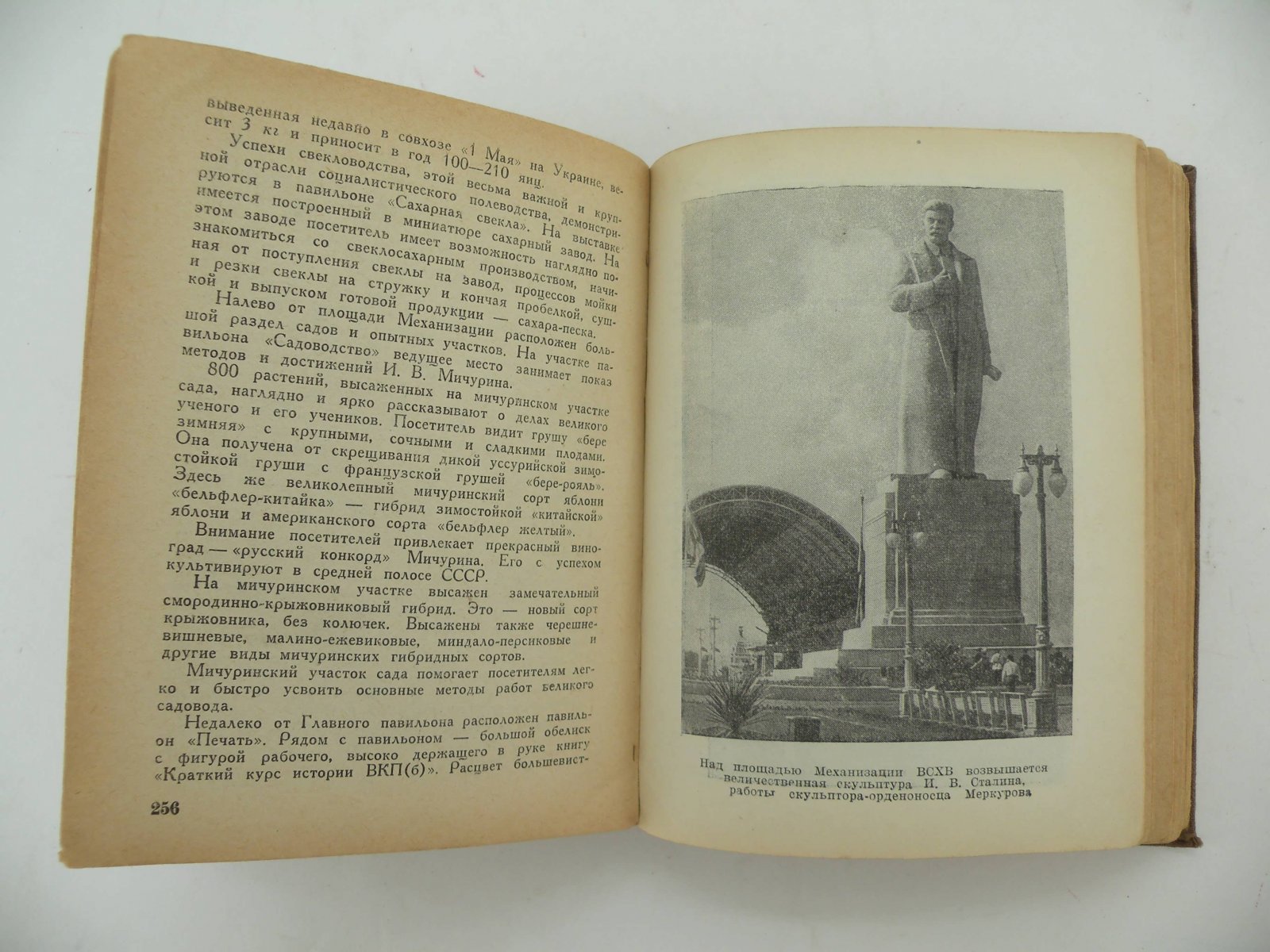 Длугач В., Португалов П. Осмотр Москвы.