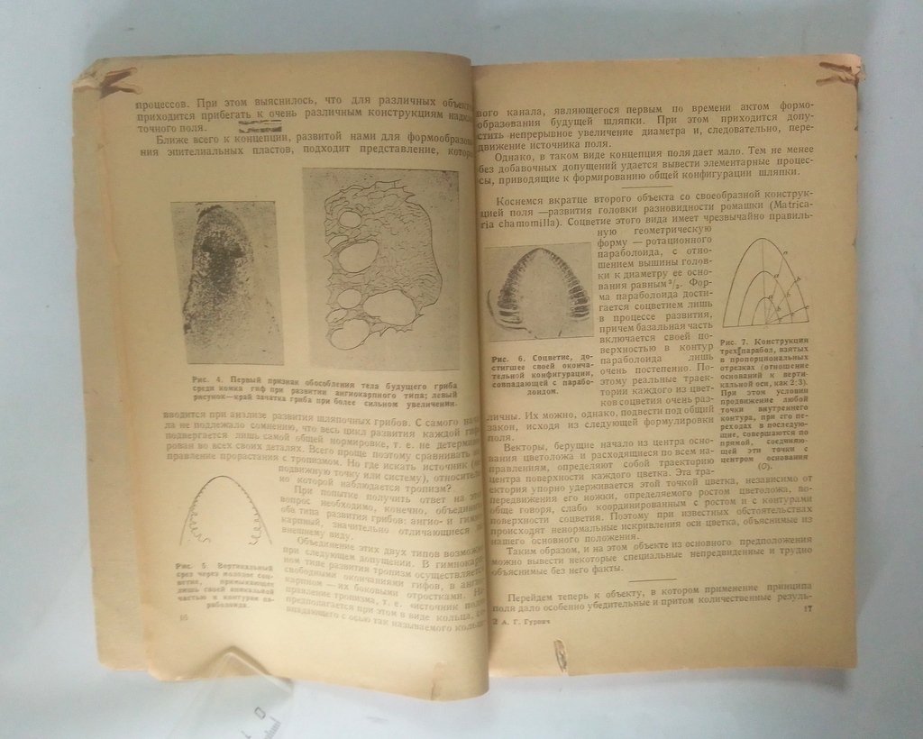 Гурвич, А. Теория биологического поля.