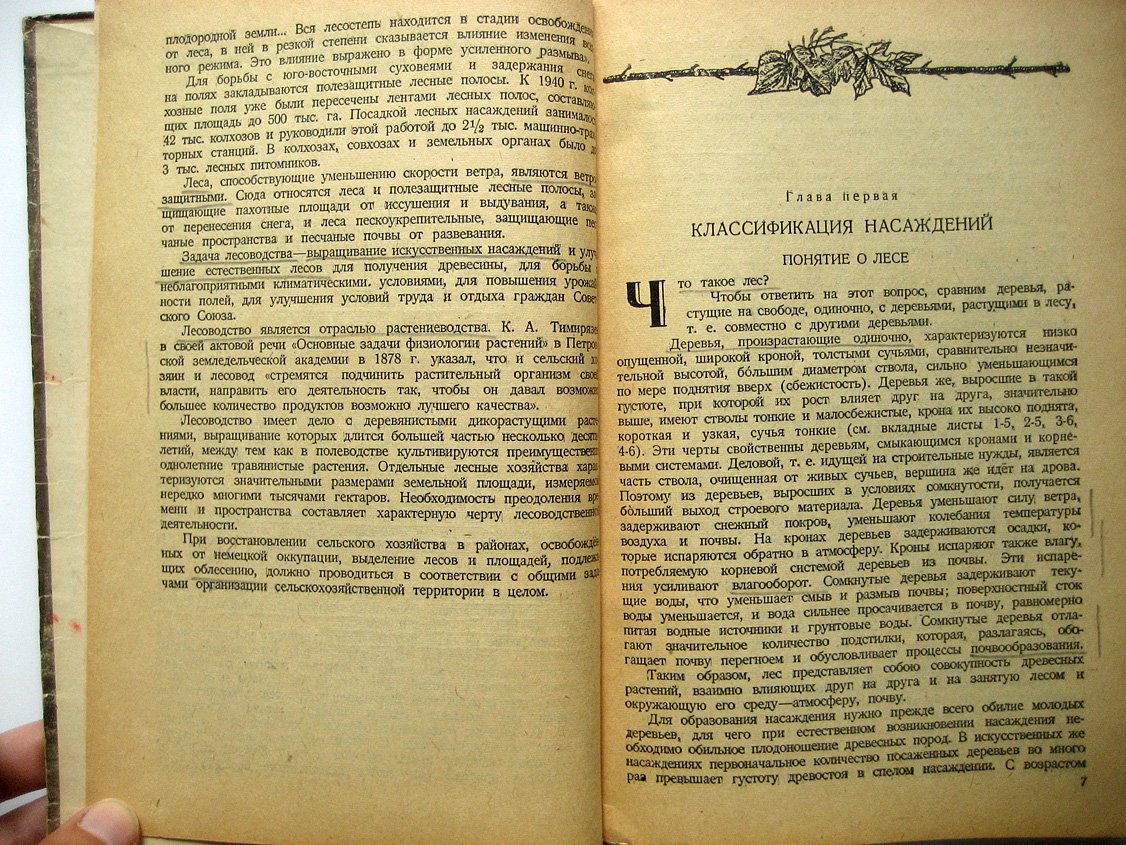 Эйтинген Г. Лесоводство.