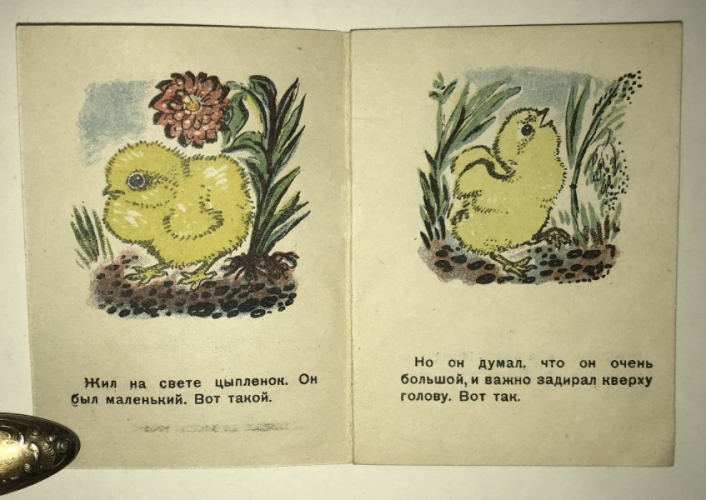 Чуковский К. Цыпленок.