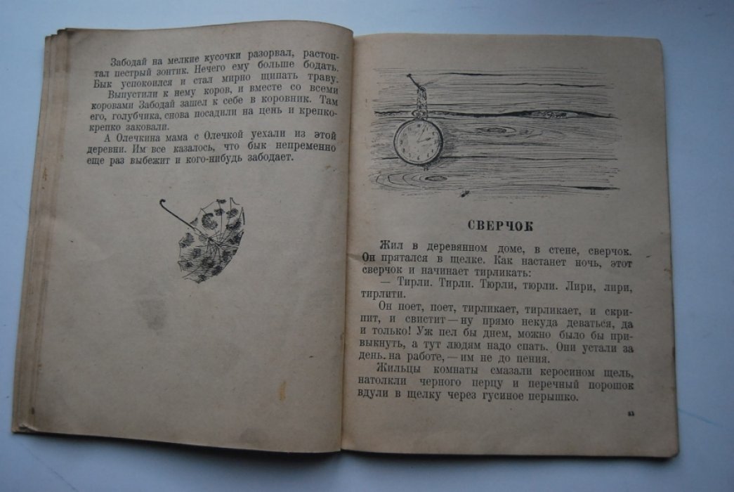 Чарушин Е. Путешественники.