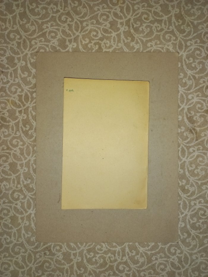 Мещанинов И.И., Чернов А.Г. Владимир Леонтьевич Комаров.