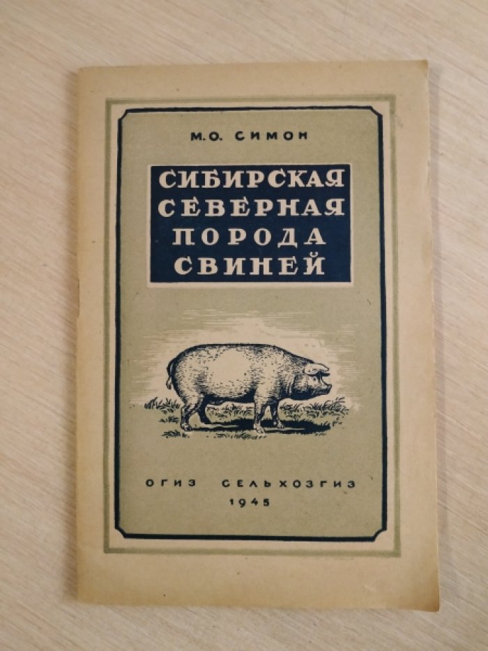 Симон М.О. Сибирская северная порода свиней.
