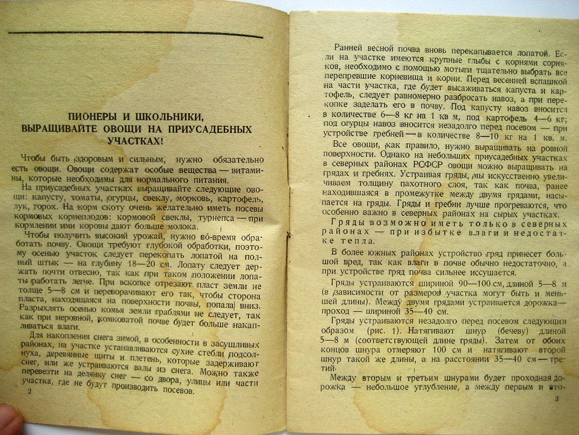 Щукин С. Пришкольные и приусадебные огороды.