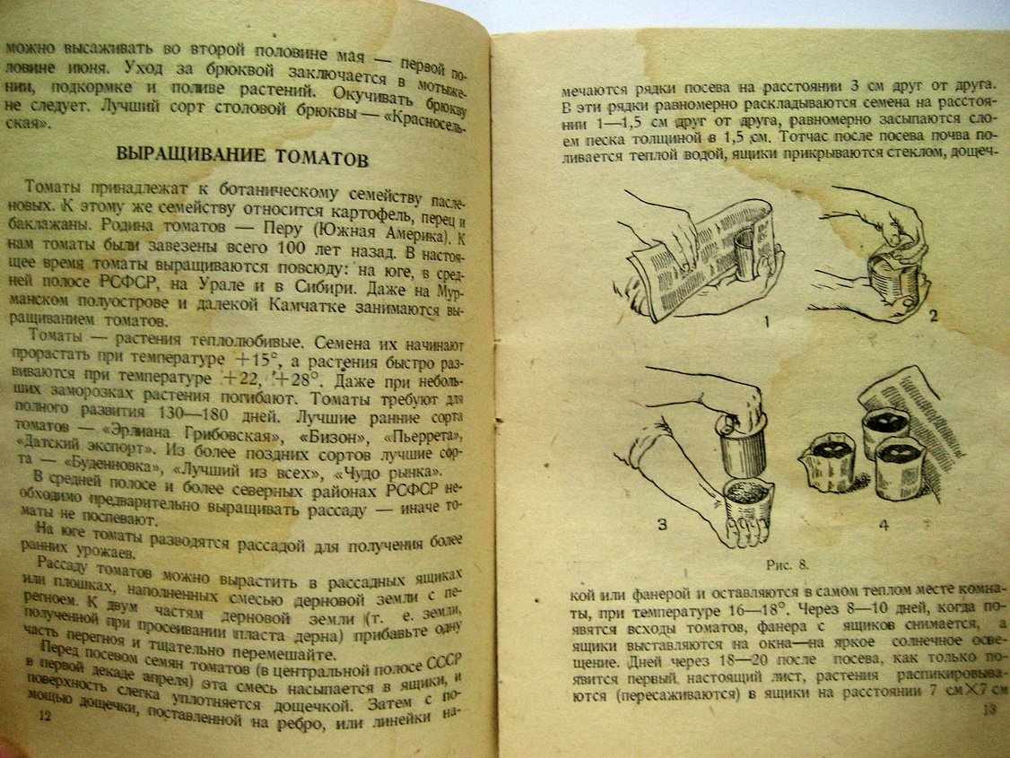 Щукин С. Пришкольные и приусадебные огороды.