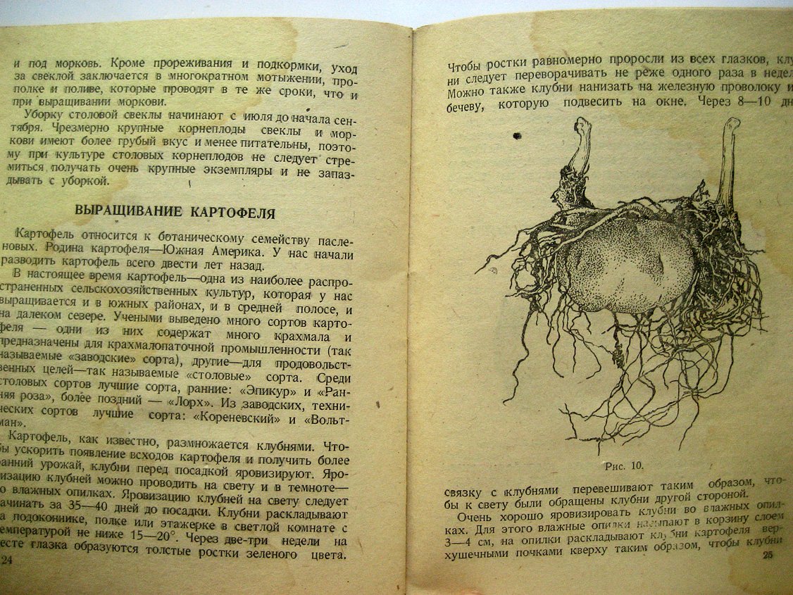 Щукин С. Пришкольные и приусадебные огороды.