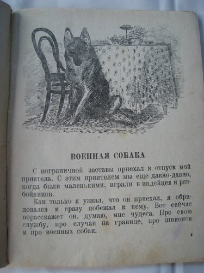 Чарушин В. Путешественники.