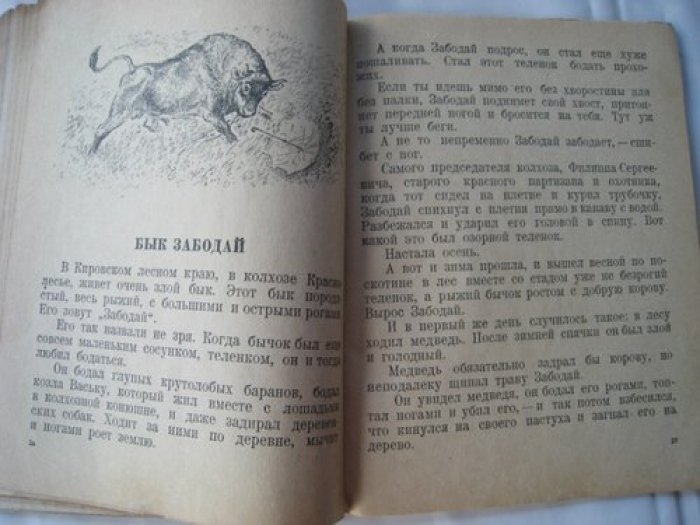 Чарушин В. Путешественники.