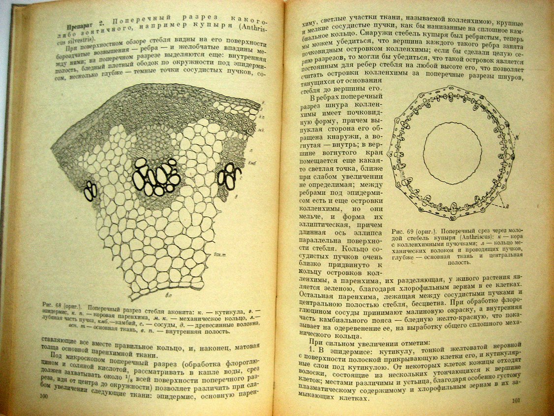 Комаров В. Практический курс анатомии растений.