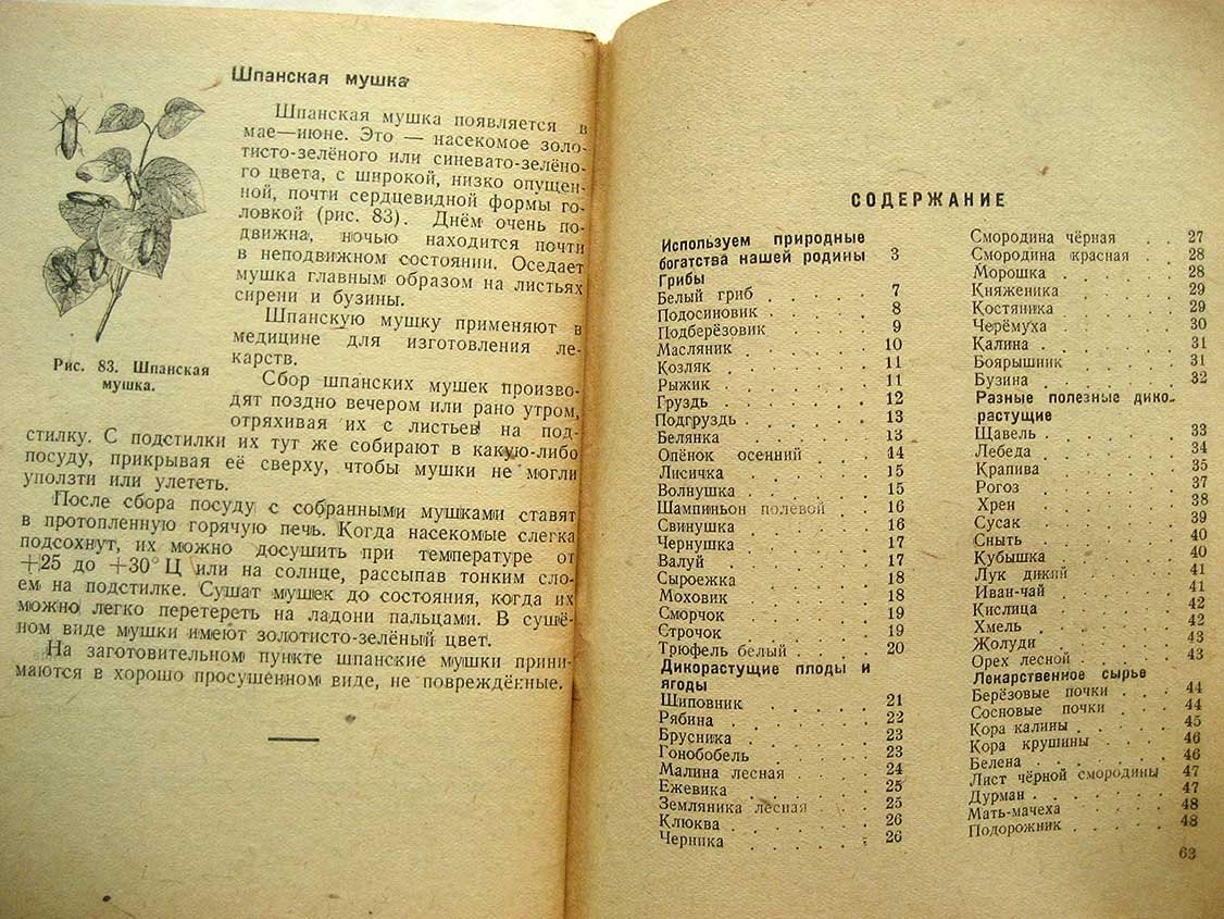Шиляков М. Собирайте грибы, ягоды и лекарственные травы