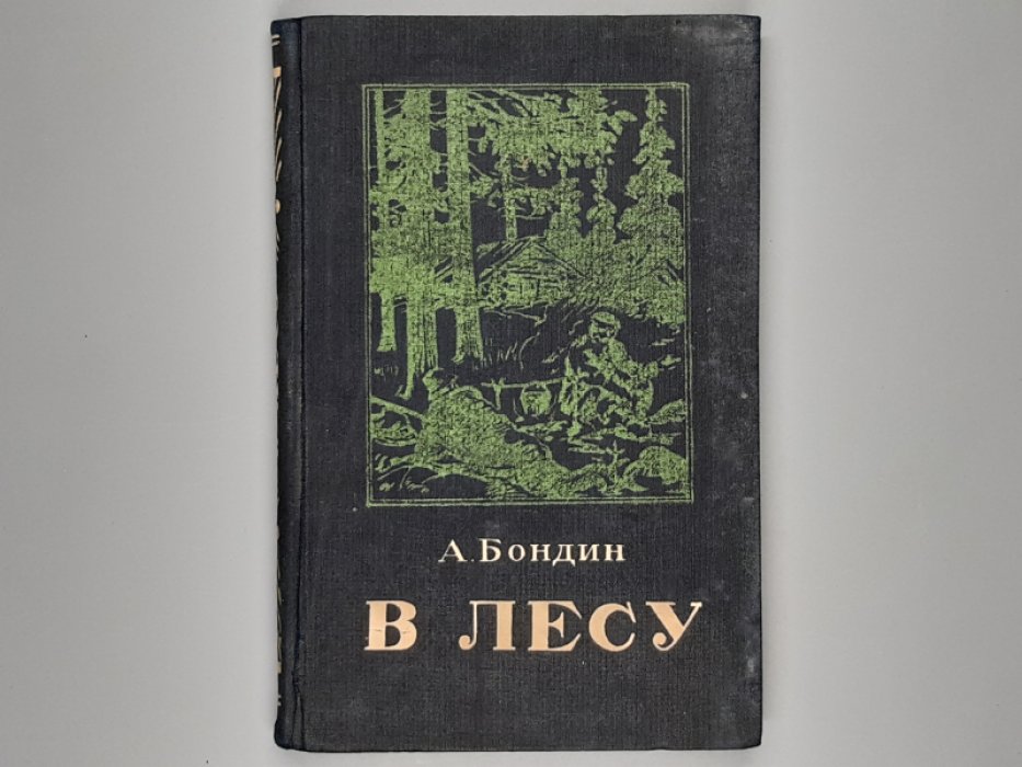 Бондин А. В лесу.