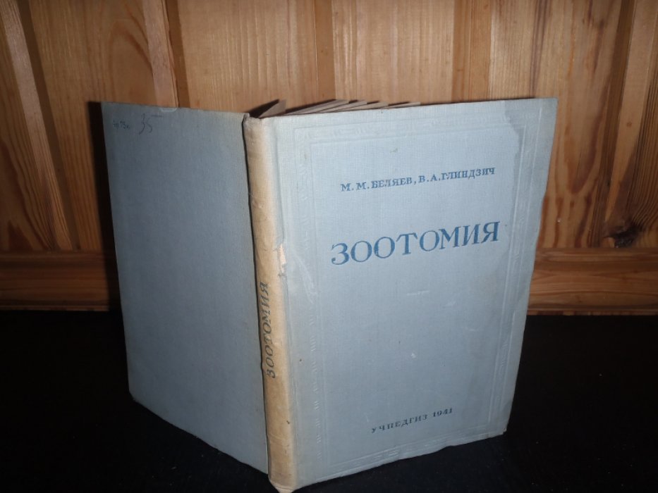 Беляев М.М..Глиндзич В.А. Зоотомия позвоночных.