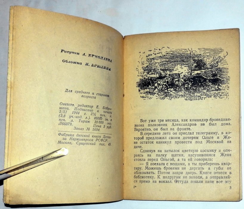 Гайдар А. Тимур и его команда. 