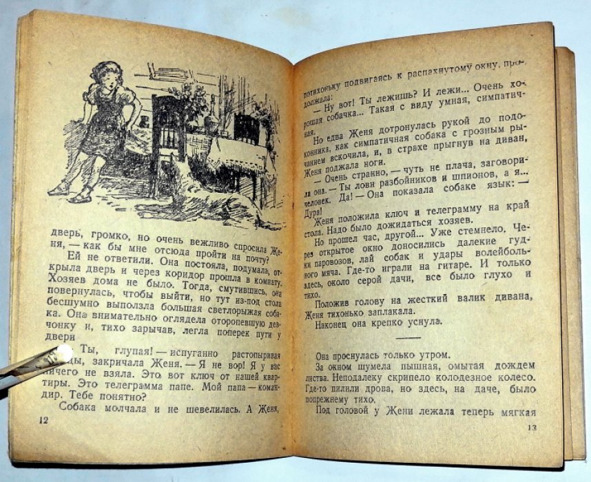 Гайдар А. Тимур и его команда. 