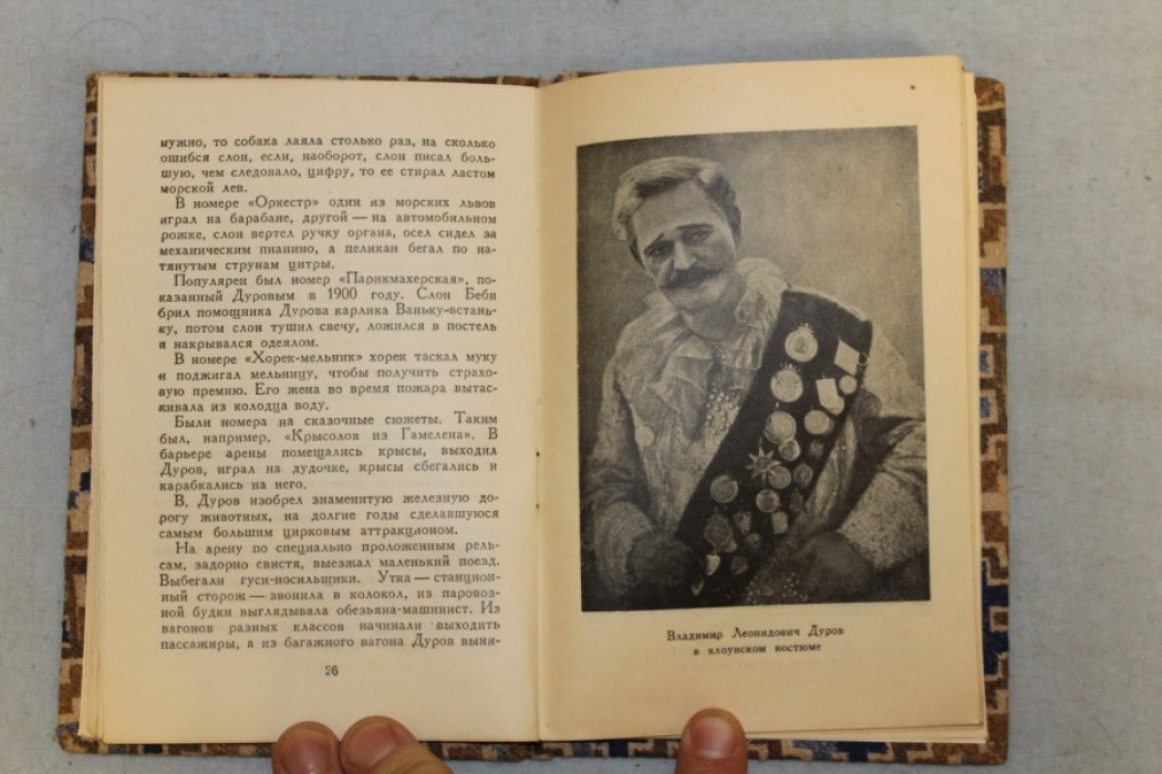 Дмитриев Ю. Братья Дуровы.