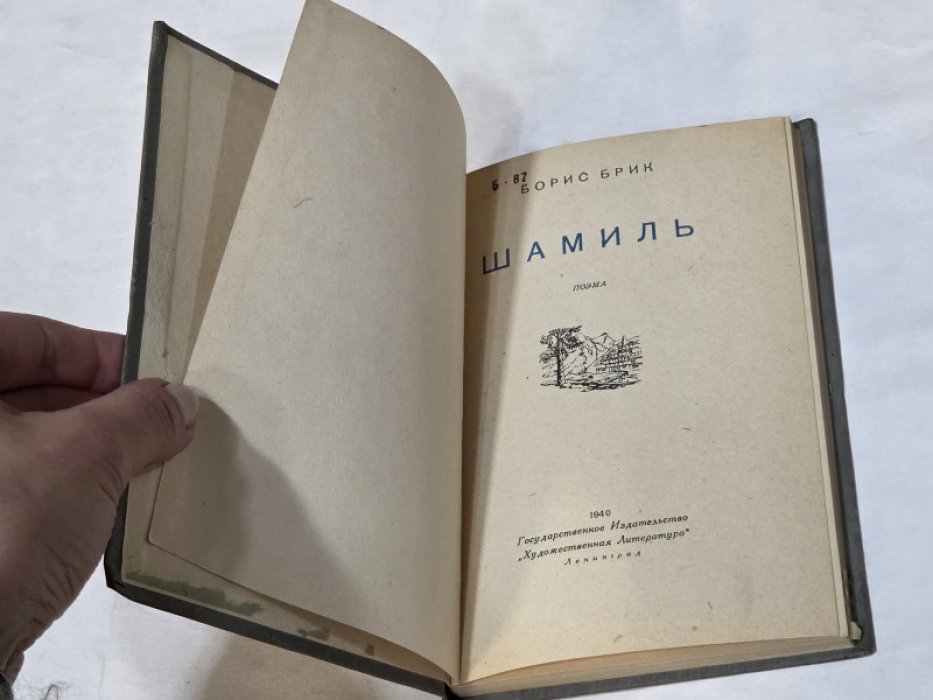 Брик Б.  Шамиль.