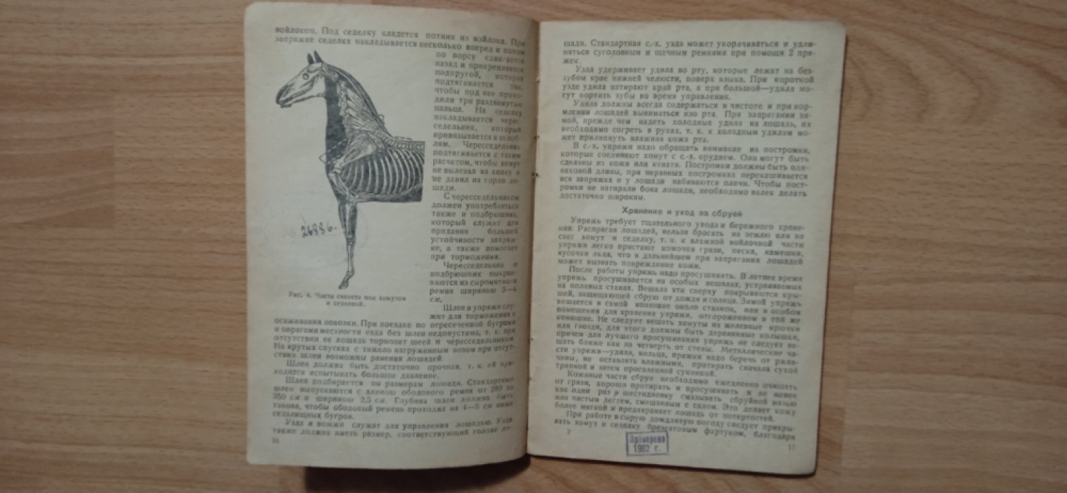 Покровская Е.А. Уход за рабочей лошадью.