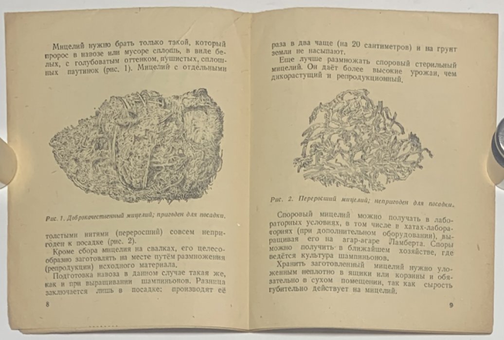 Никитюк В.С. Выращивание шампиньонов.