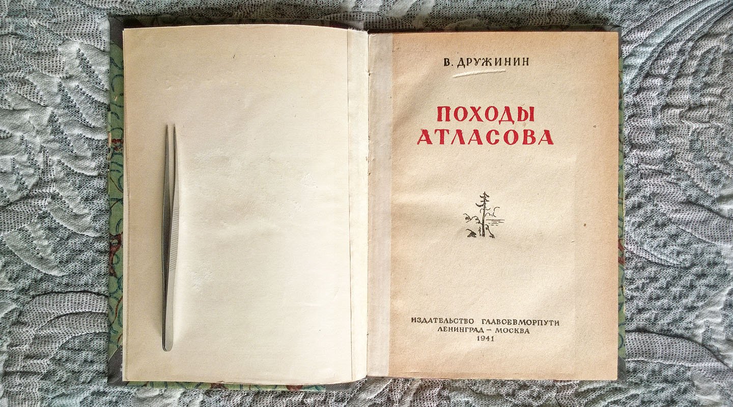Дружинин В. Походы Атласова.