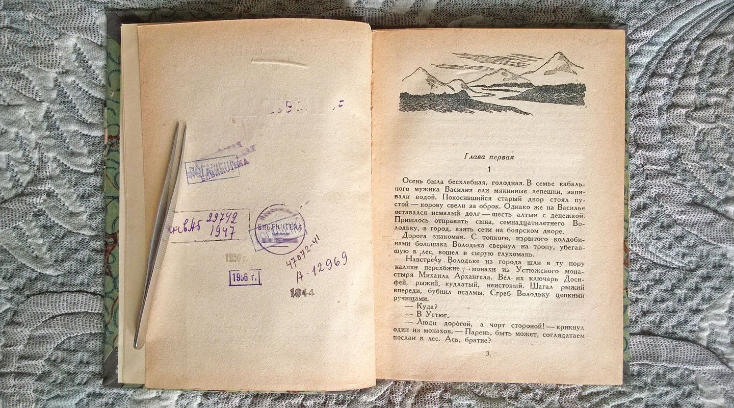 Дружинин В. Походы Атласова.