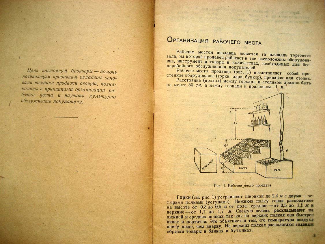 Чижевский С. Овощи.