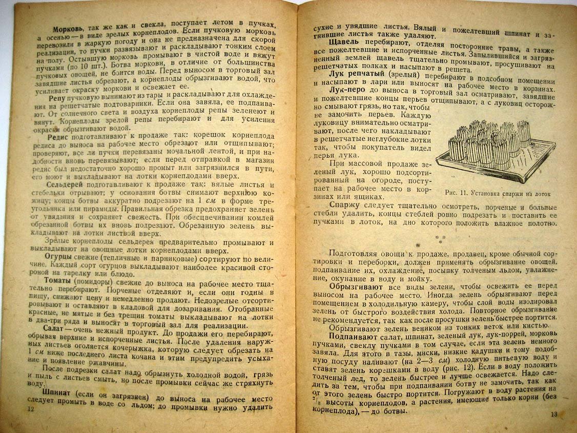 Чижевский С. Овощи.