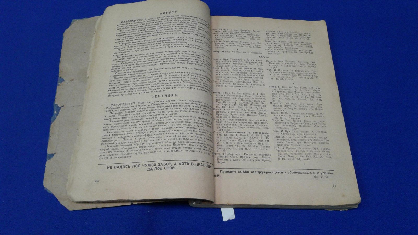 Оккупационное издание. Народный календарь на 1943 год. Новая Европа. Псков