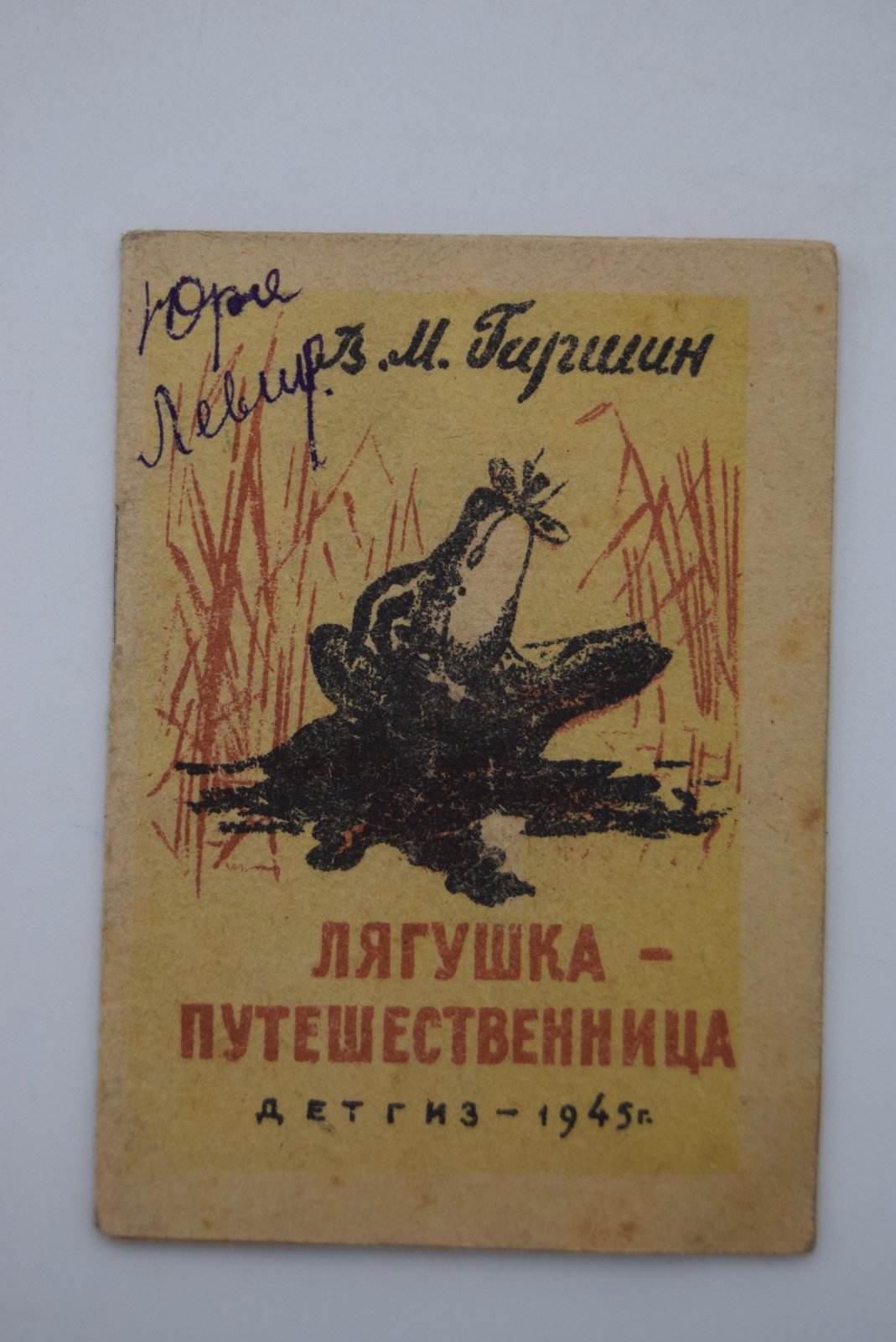 Гаршин В.М. Лягушка-путешественница.